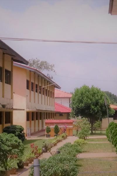 Dsc07138